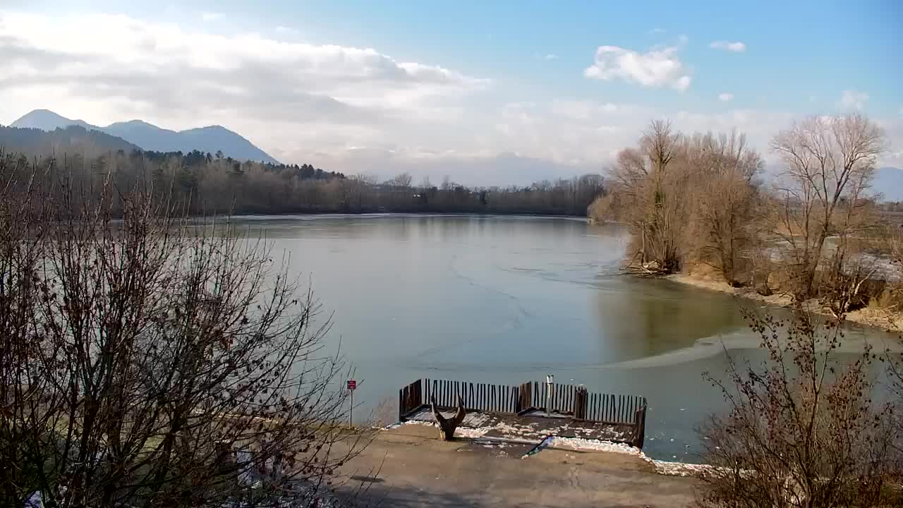 Webcam Ribnik Vrbje – Žalec