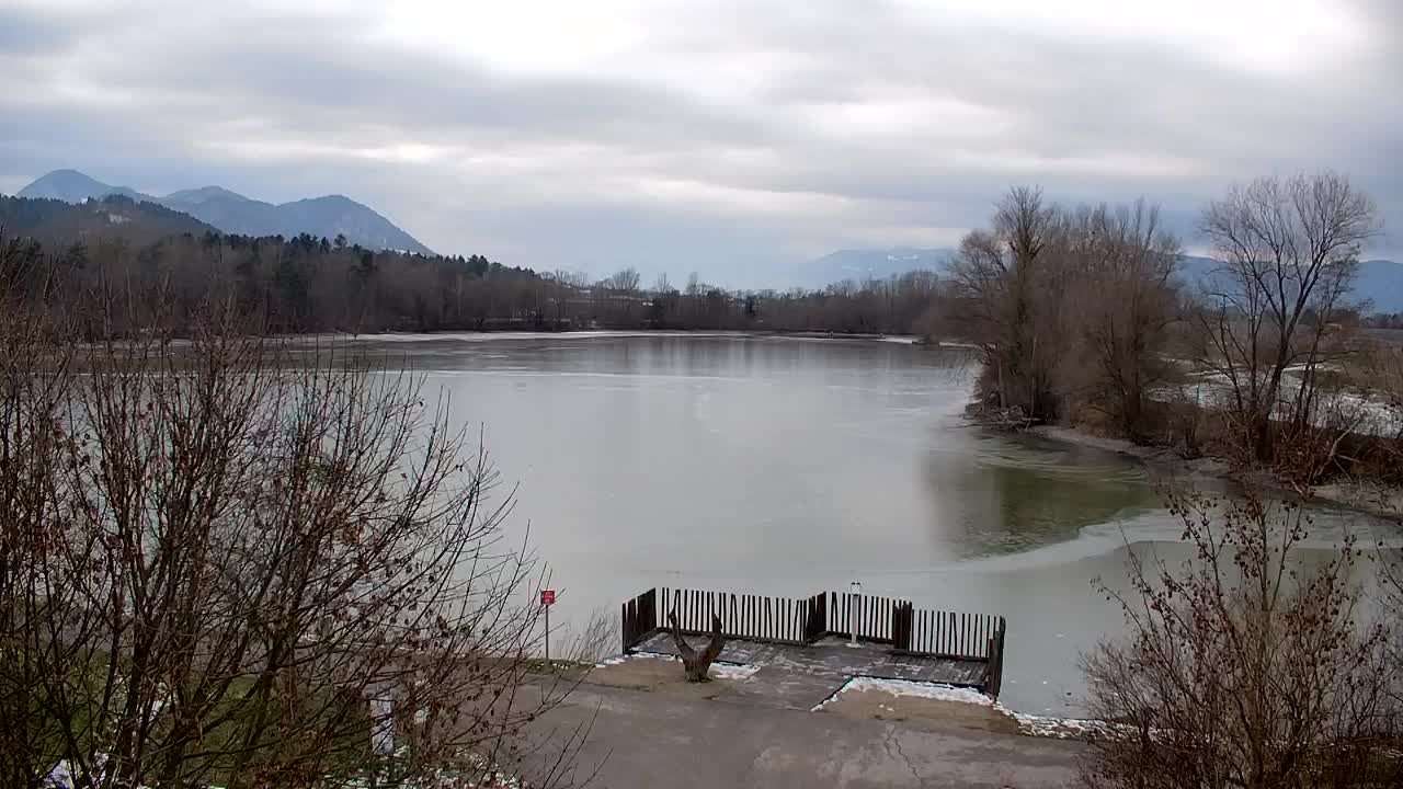 Webcam Ribnik Vrbje – Žalec