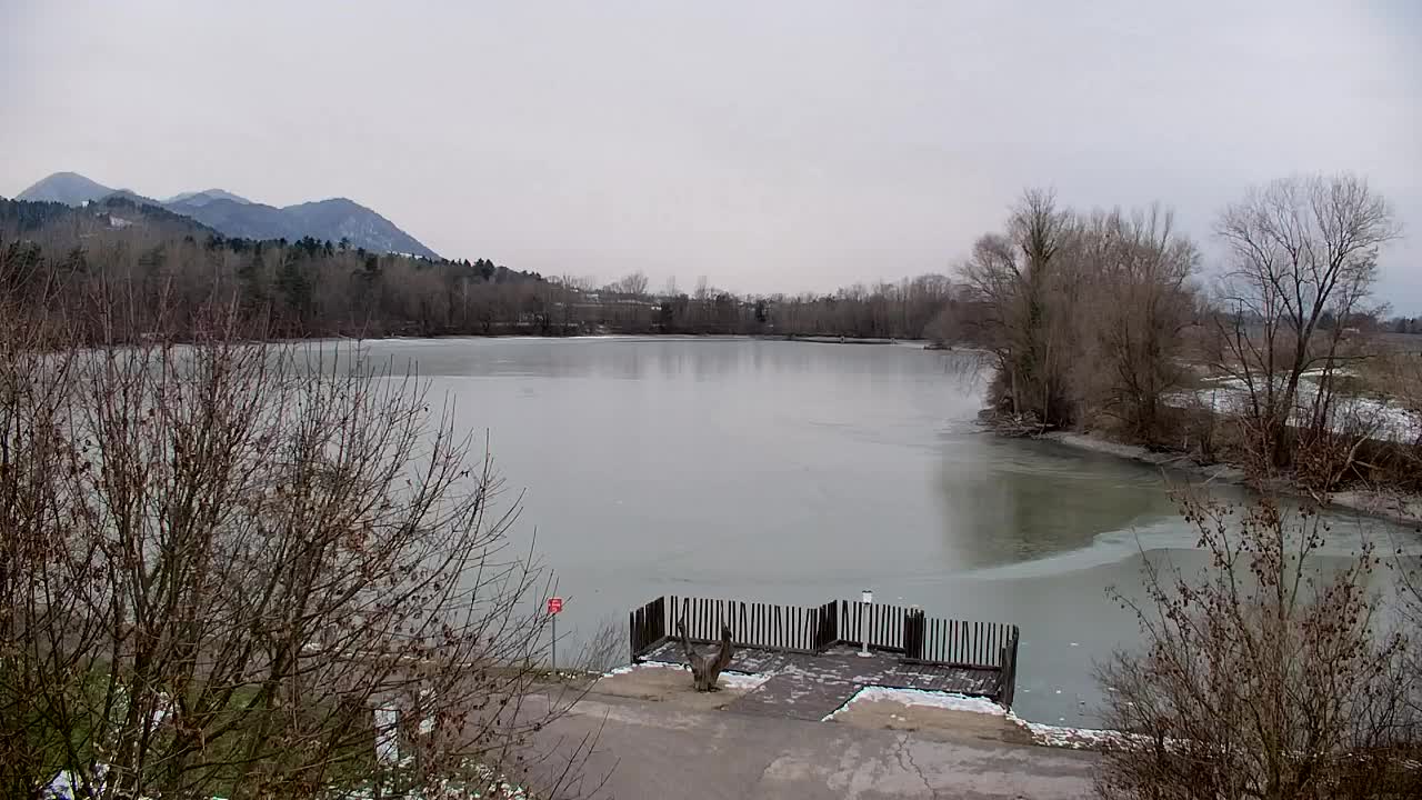 Webcam Ribnik Vrbje – Žalec