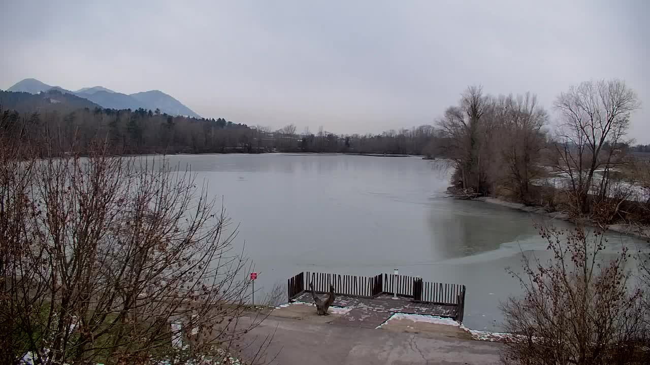 Webcam Ribnik Vrbje – Žalec