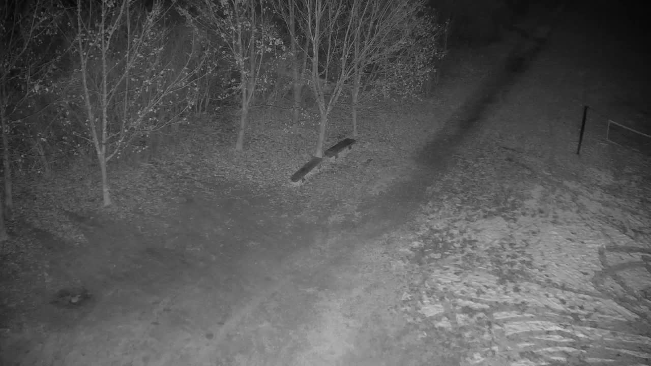 Webcam Ribnik Vrbje – Žalec