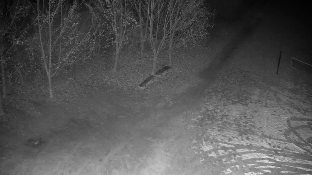 Webcam Ribnik Vrbje – Žalec