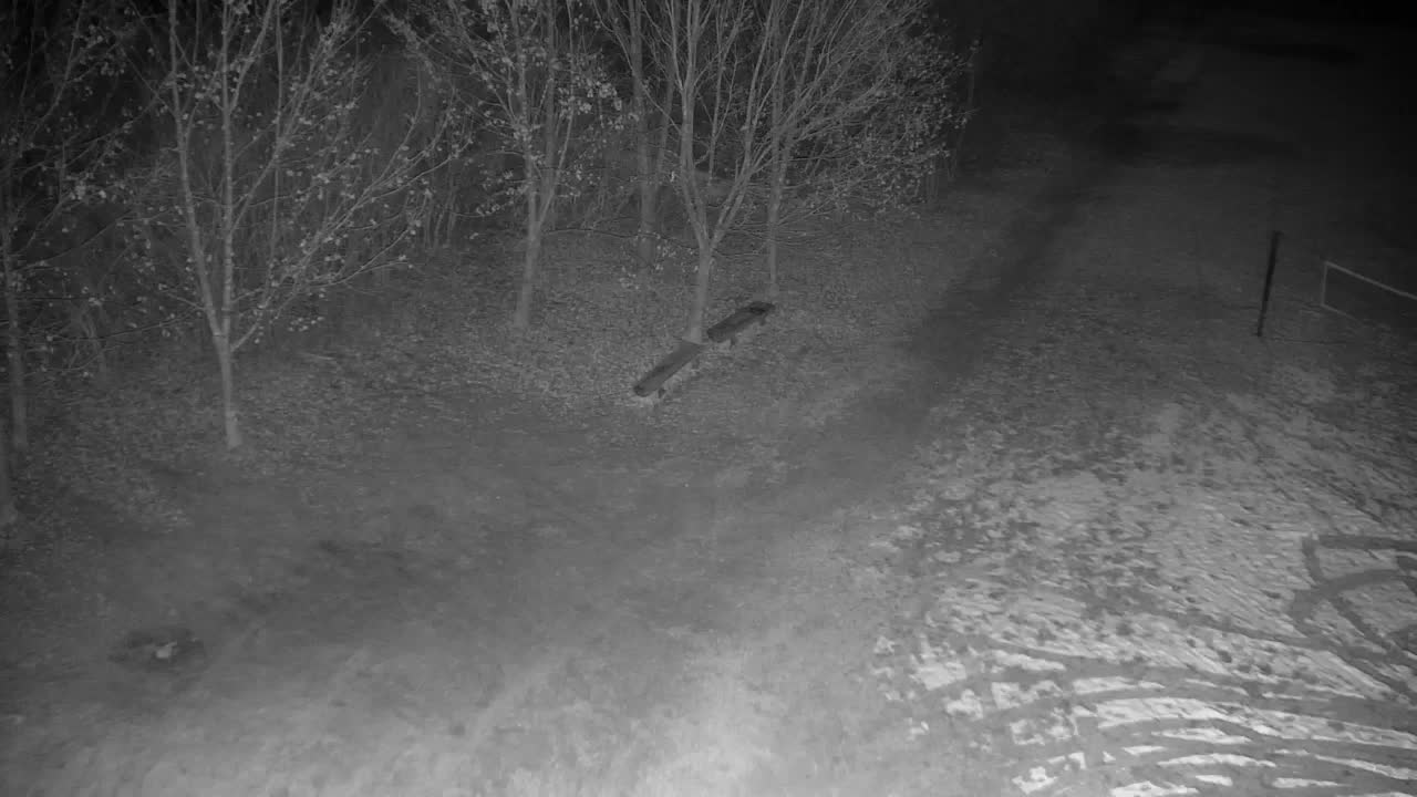 Webcam Ribnik Vrbje – Žalec