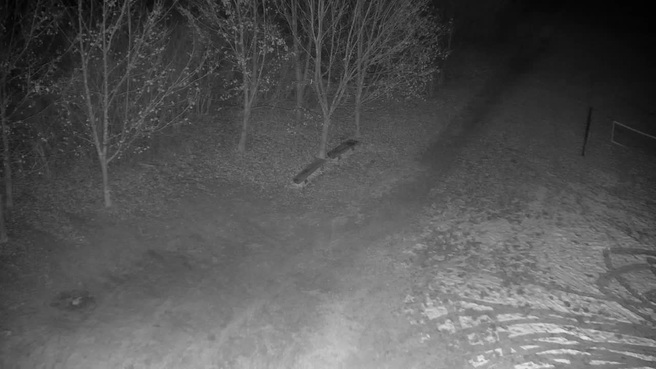 Webcam Ribnik Vrbje – Žalec