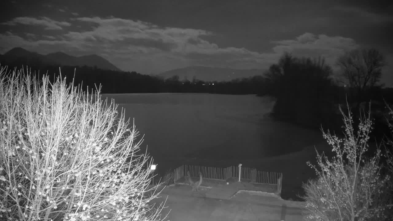 Webcam Ribnik Vrbje – Žalec