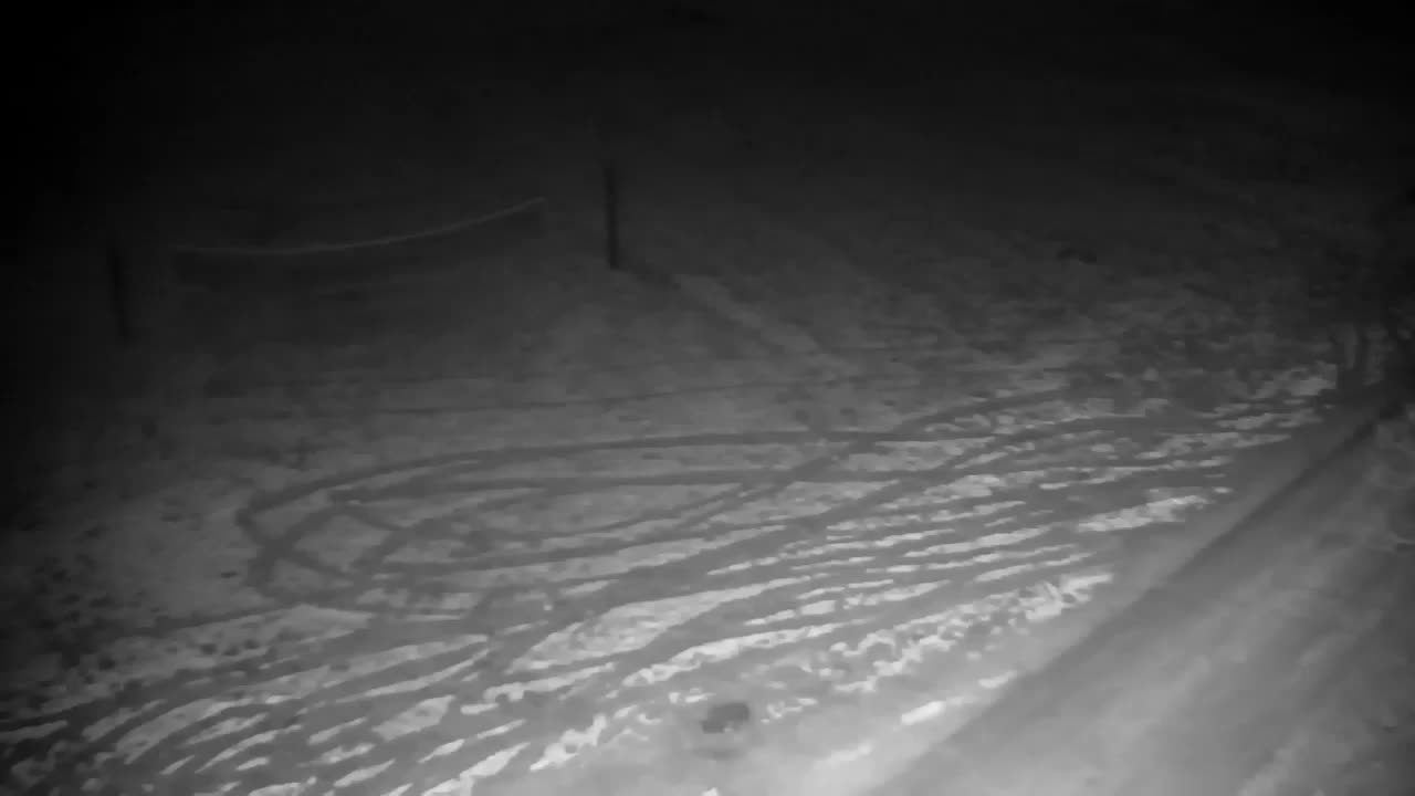 Web kamera Ribnik Vrbje – Žalec