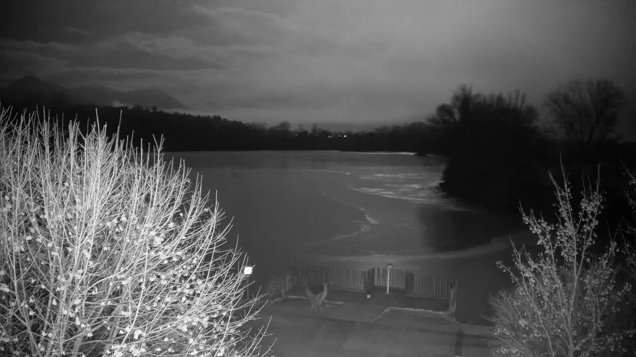 Web kamera Ribnik Vrbje – Žalec