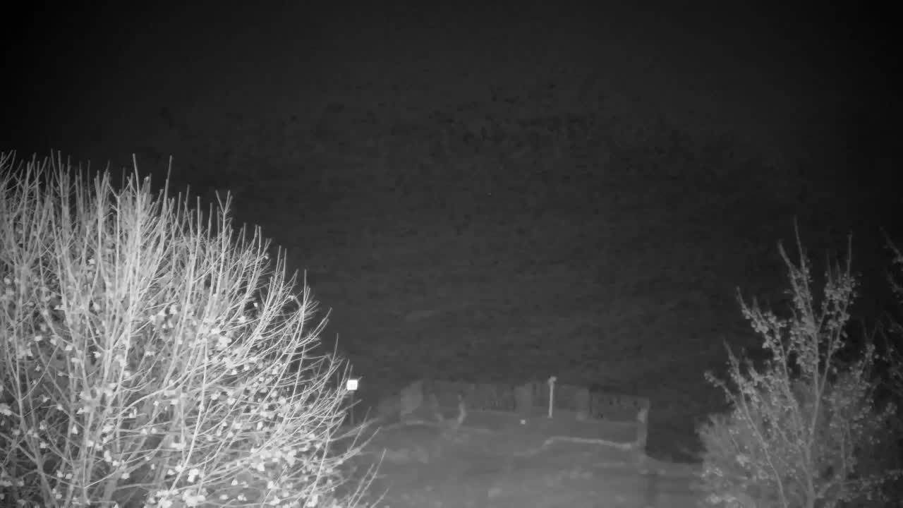 Webcam Ribnik Vrbje – Žalec