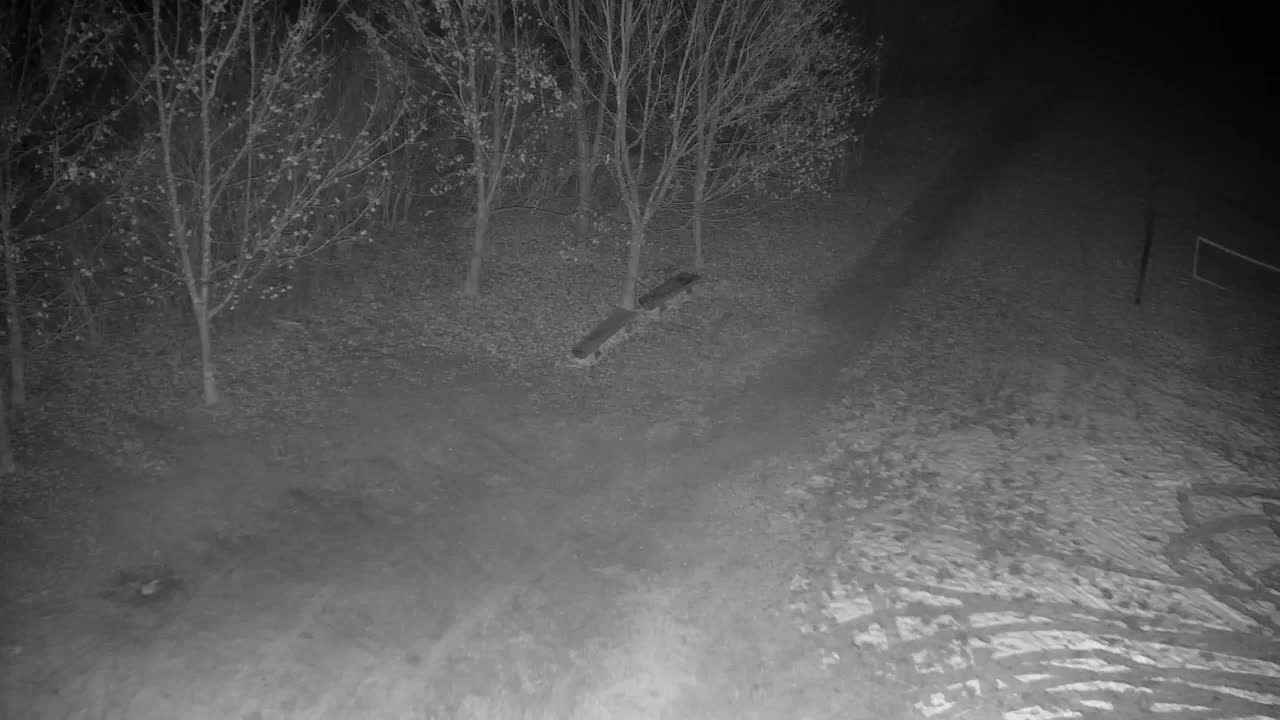 Webcam Ribnik Vrbje – Žalec