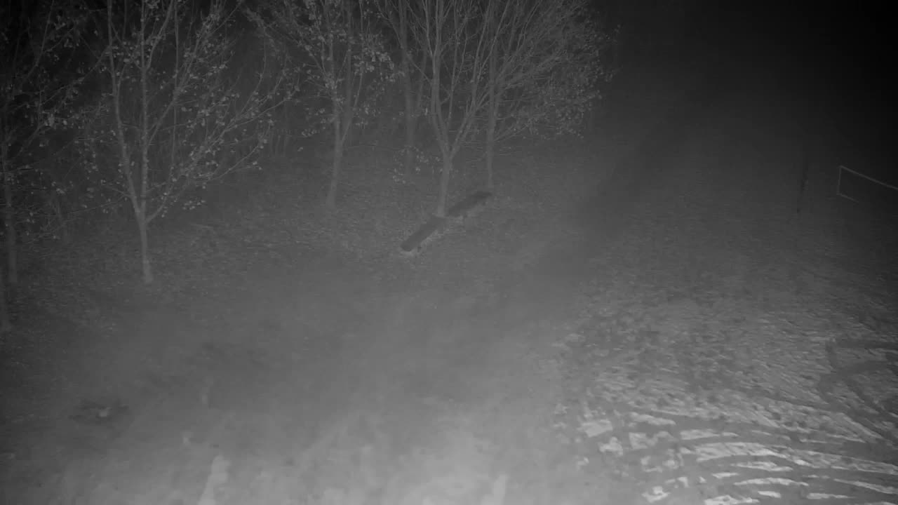 Webcam Ribnik Vrbje – Žalec