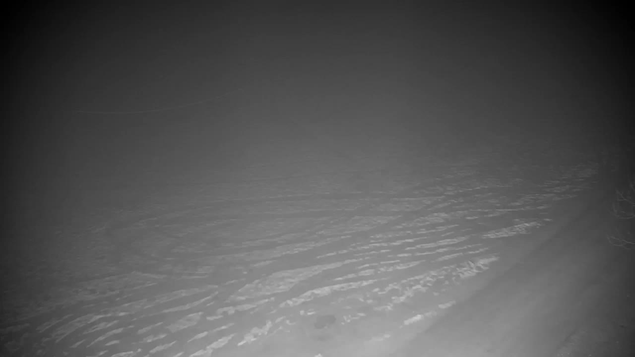 Webcam Ribnik Vrbje – Žalec