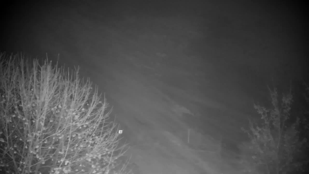 Webcam Ribnik Vrbje – Žalec