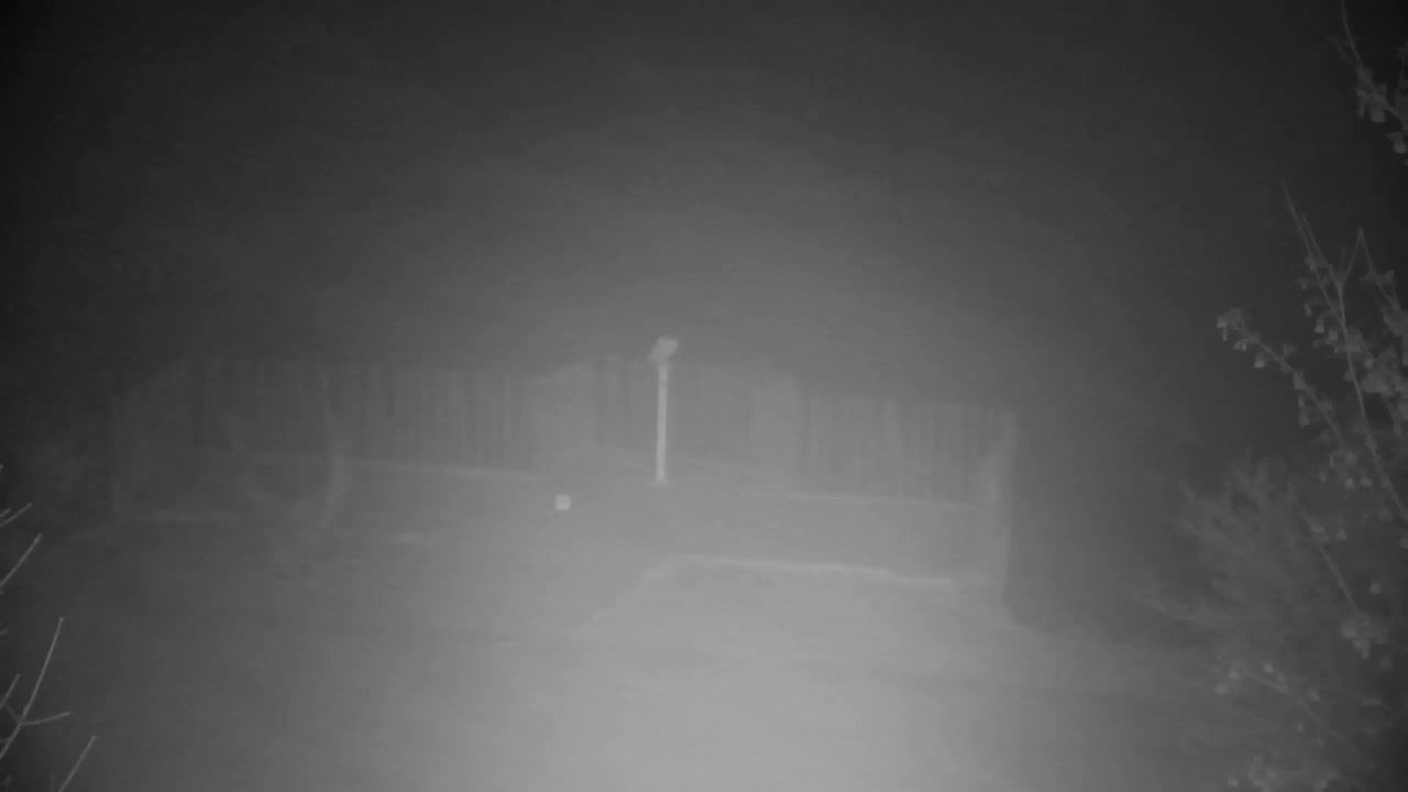 Spletna kamera Ribnik Vrbje – Žalec