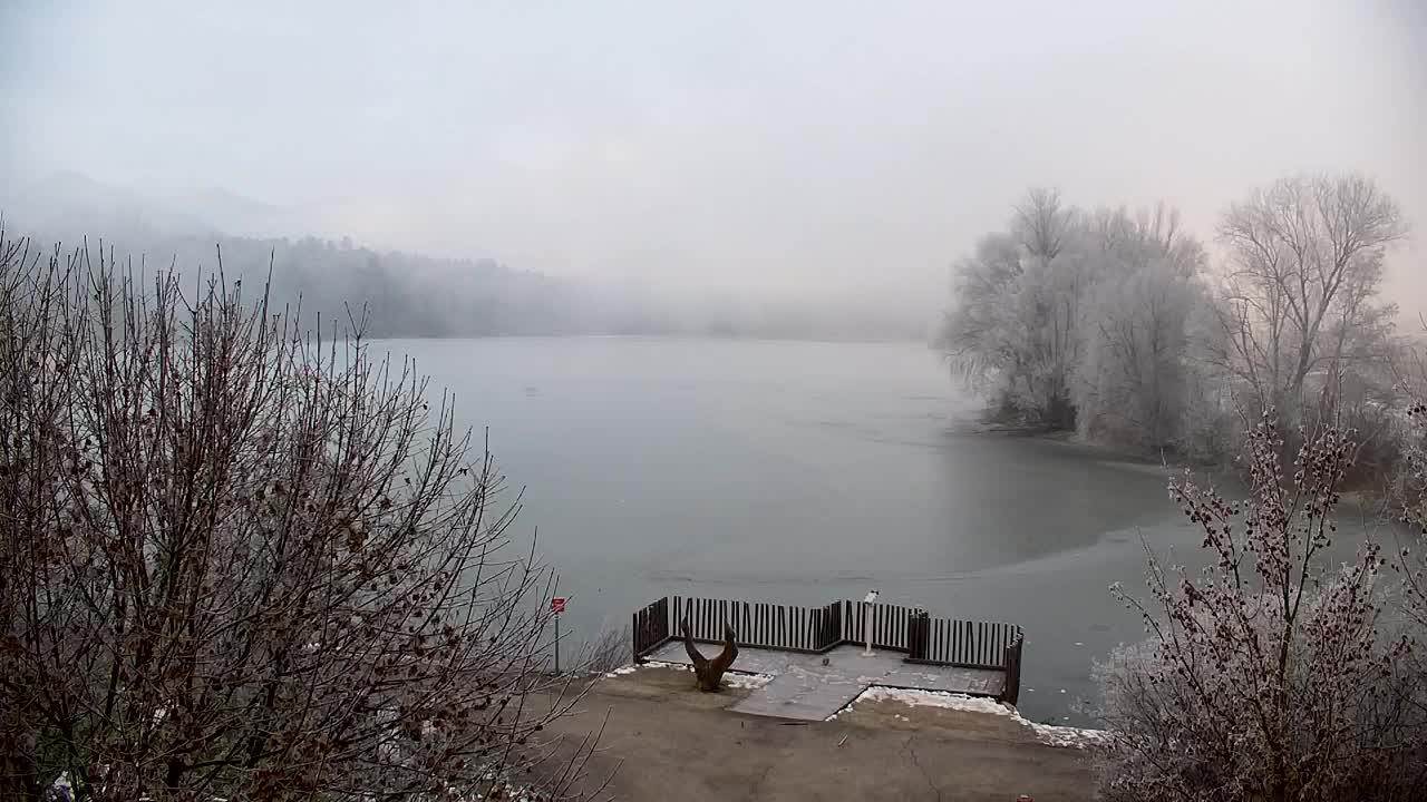 Spletna kamera Ribnik Vrbje – Žalec