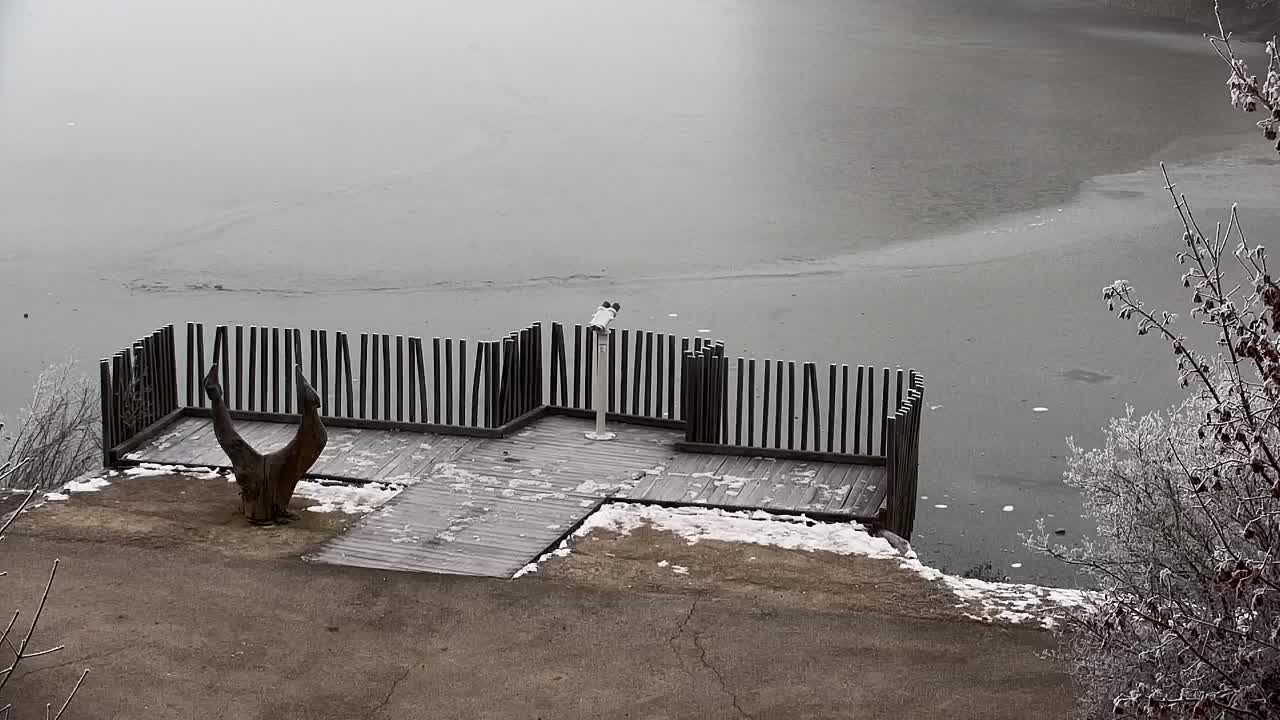 Webcam Ribnik Vrbje – Žalec