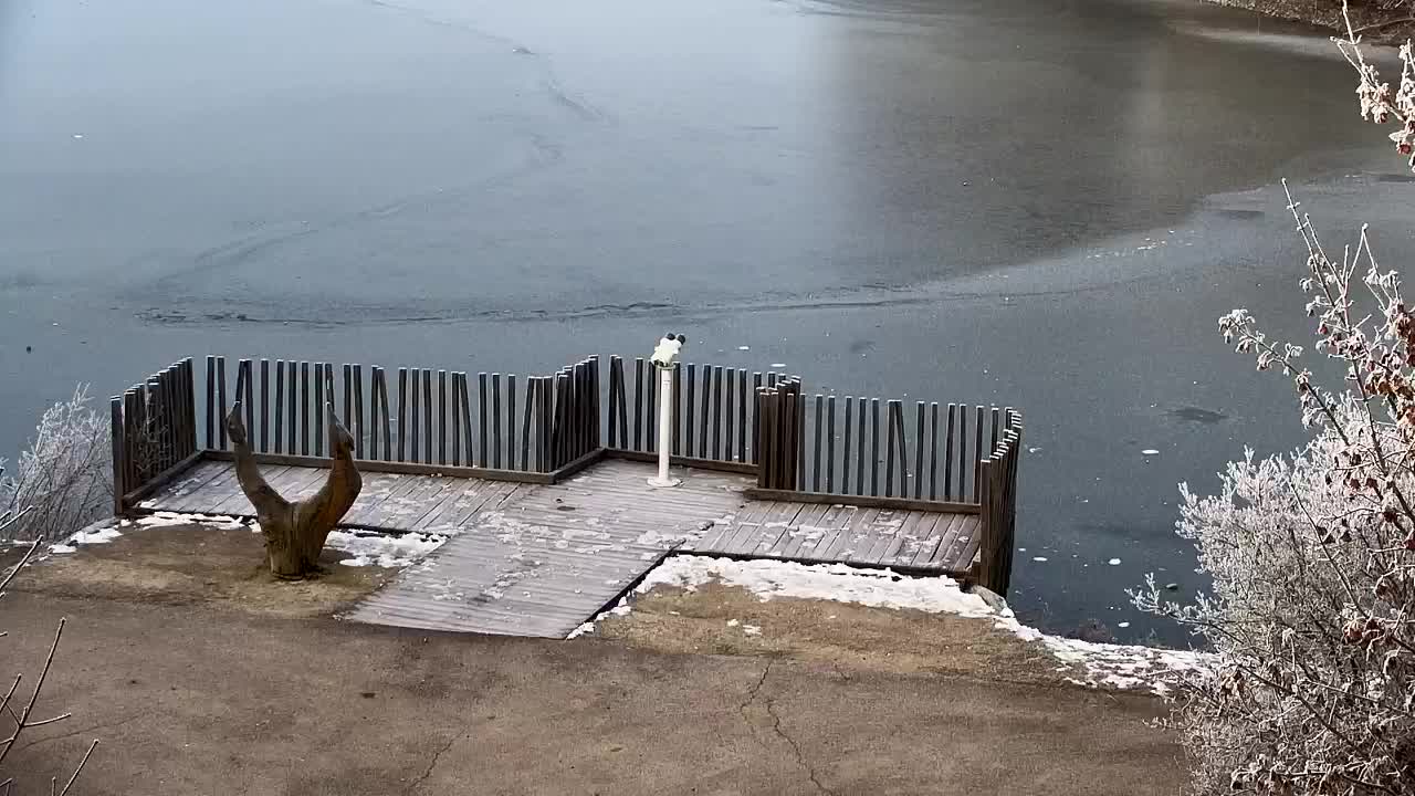 Webcam Ribnik Vrbje – Žalec