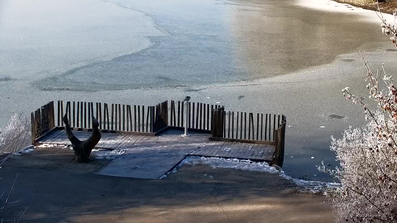 Webcam Ribnik Vrbje – Žalec