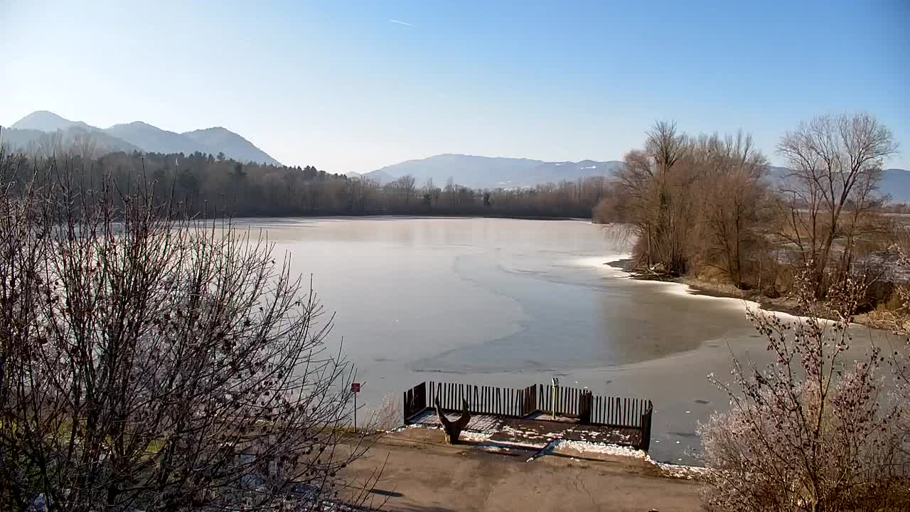 Webcam Ribnik Vrbje – Žalec
