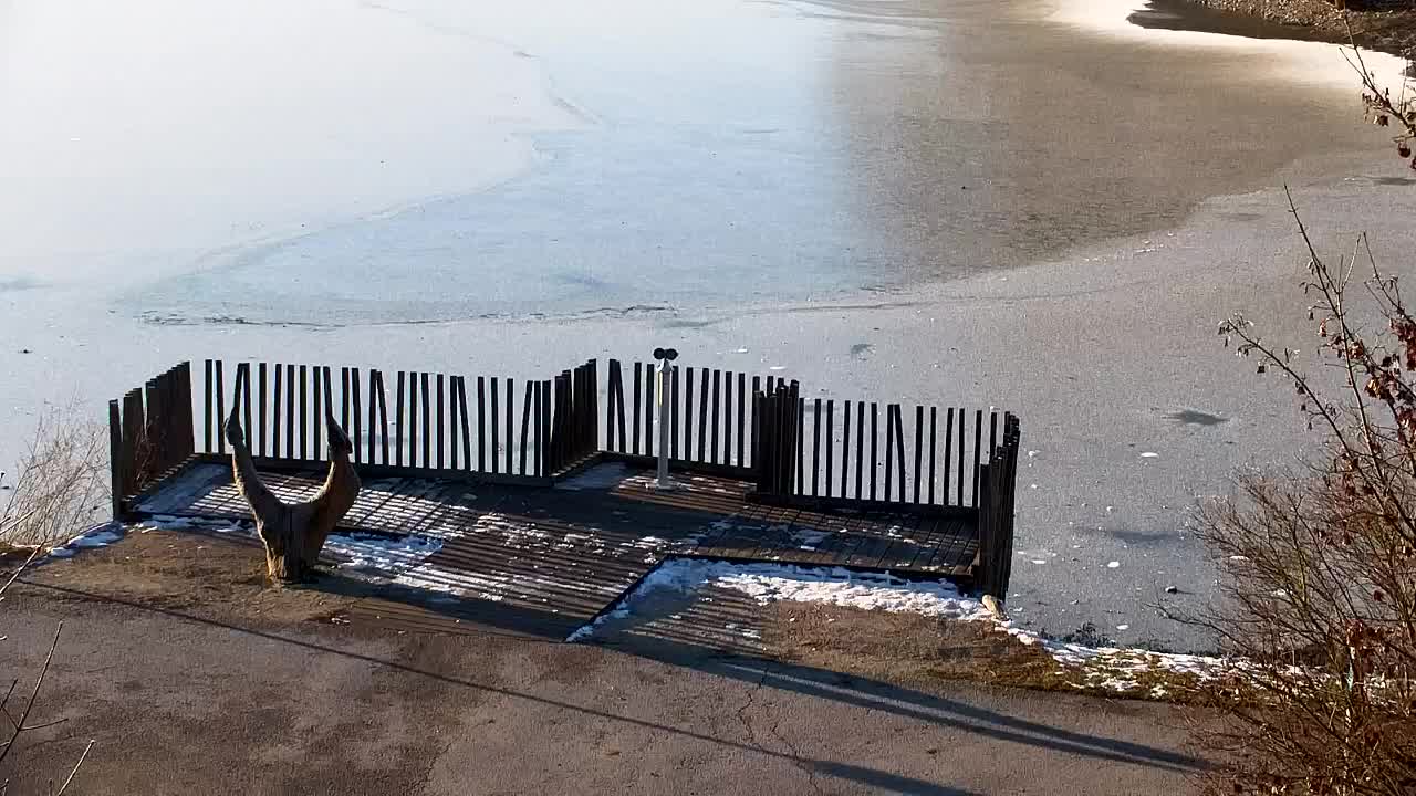 Webcam Ribnik Vrbje – Žalec