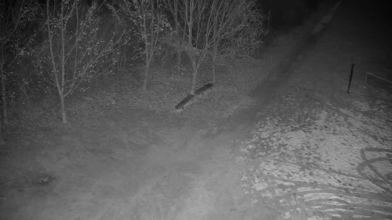 Webcam Ribnik Vrbje – Žalec