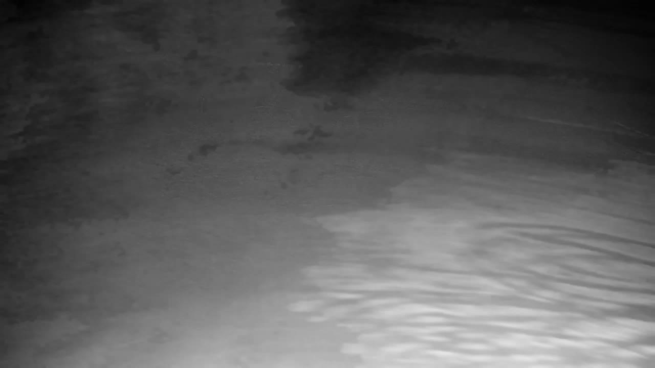 Webcam Ribnik Vrbje – Žalec