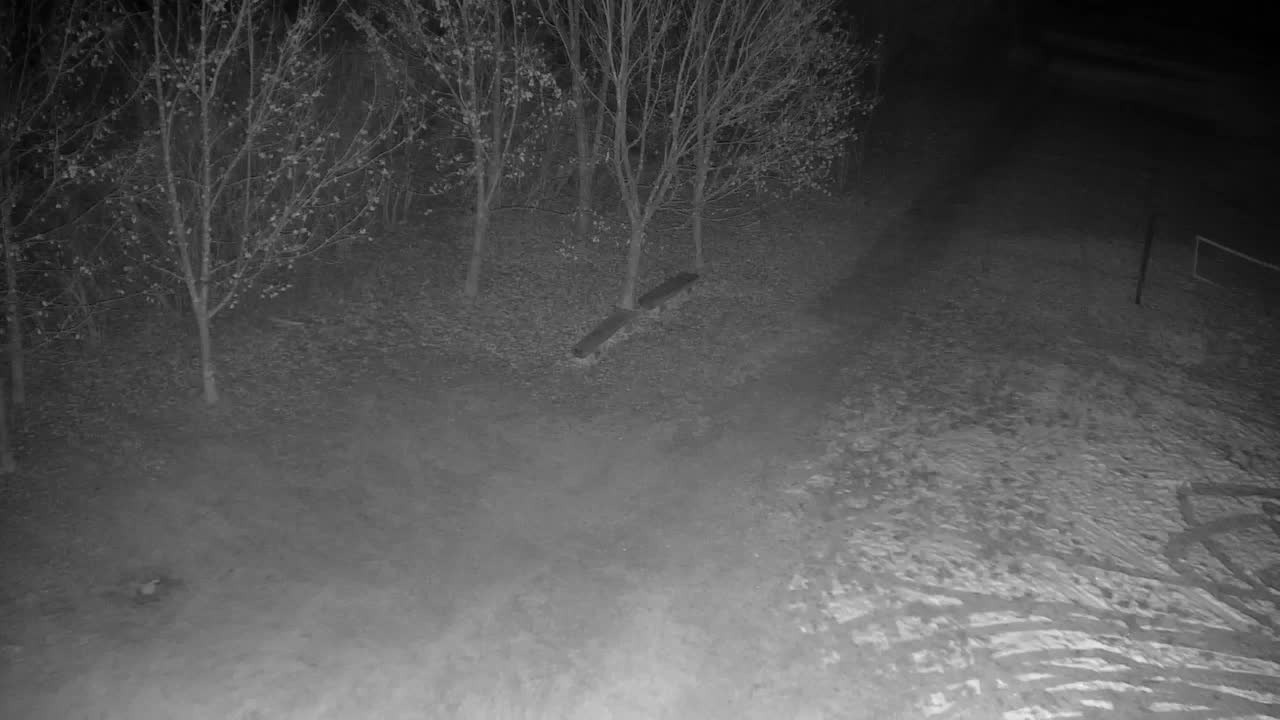 Webcam Ribnik Vrbje – Žalec