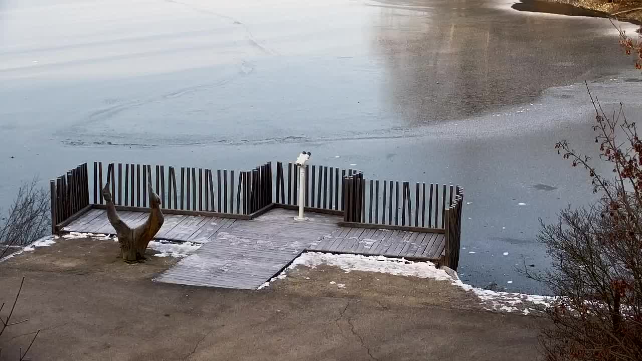 Webcam Ribnik Vrbje – Žalec