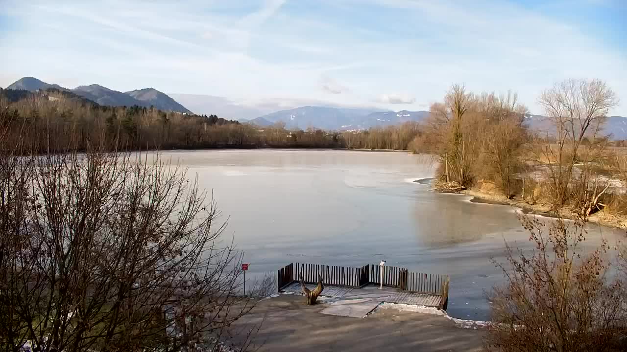 Webcam Ribnik Vrbje – Žalec