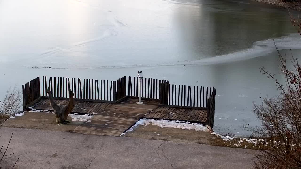 Webcam Ribnik Vrbje – Žalec