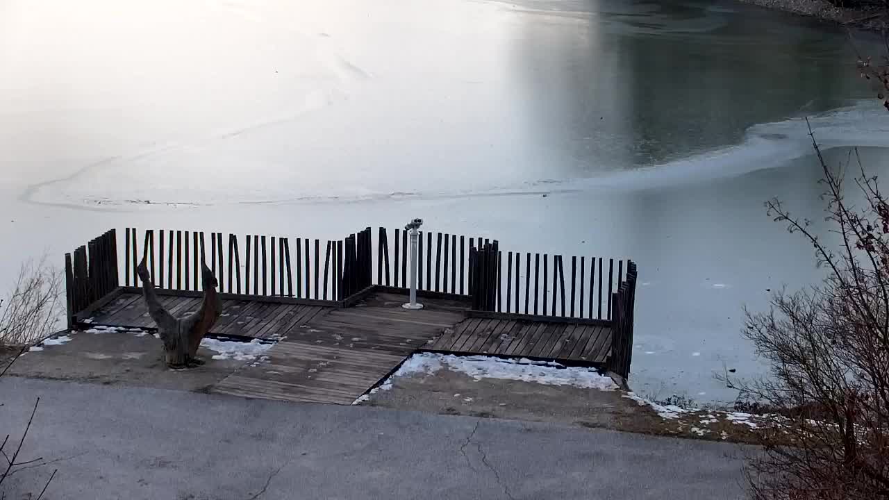 Webcam Ribnik Vrbje – Žalec