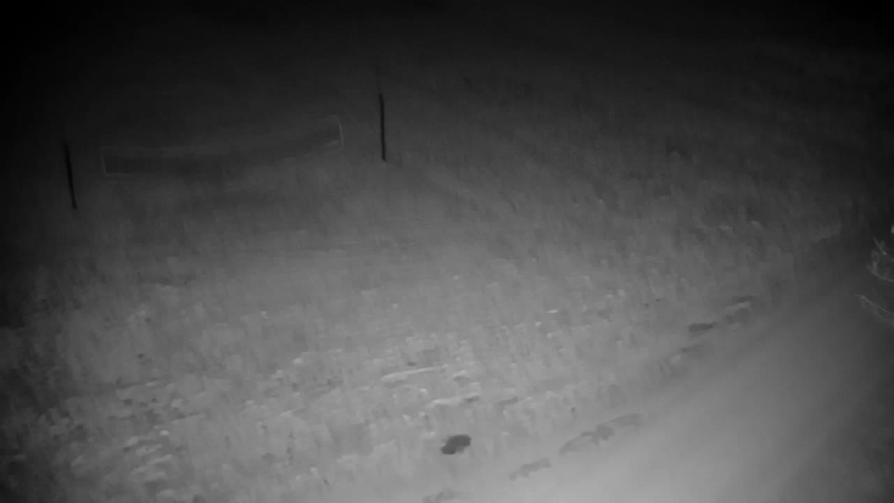 Webcam Ribnik Vrbje – Žalec