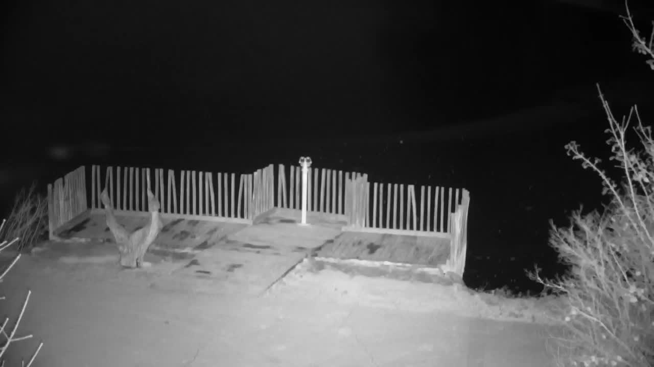 Webcam Ribnik Vrbje – Žalec