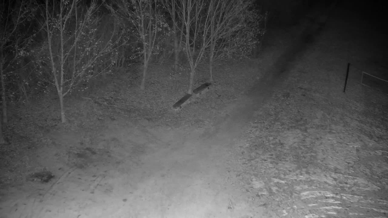 Webcam Ribnik Vrbje – Žalec