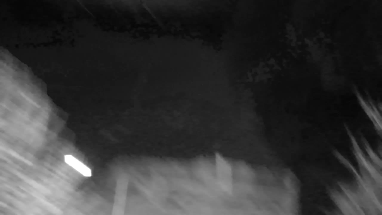 Web kamera Ribnik Vrbje – Žalec