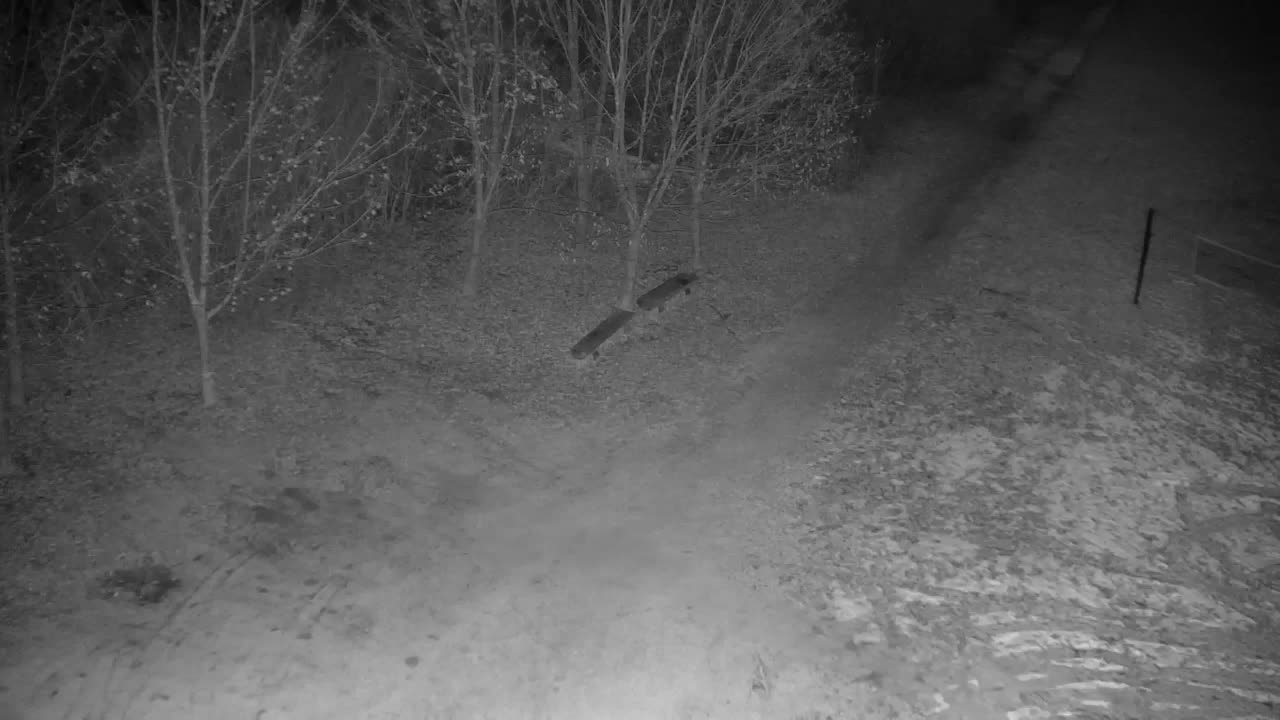 Webcam Ribnik Vrbje – Žalec