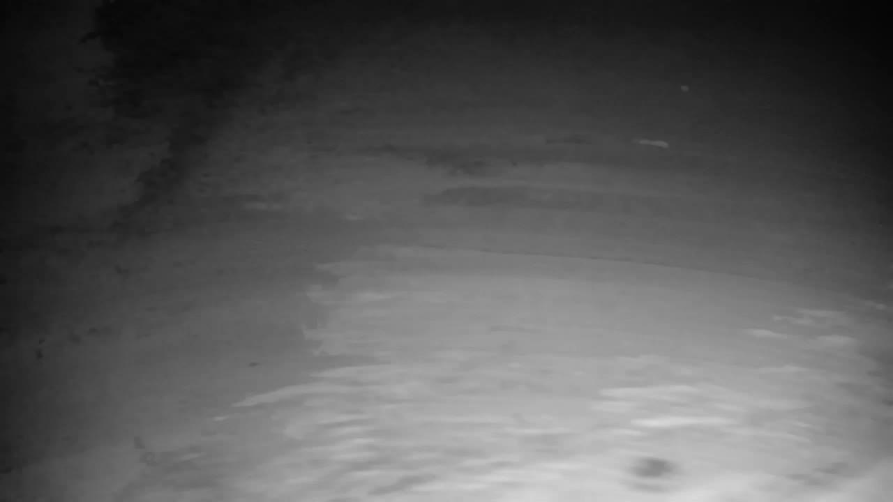 Web kamera Ribnik Vrbje – Žalec