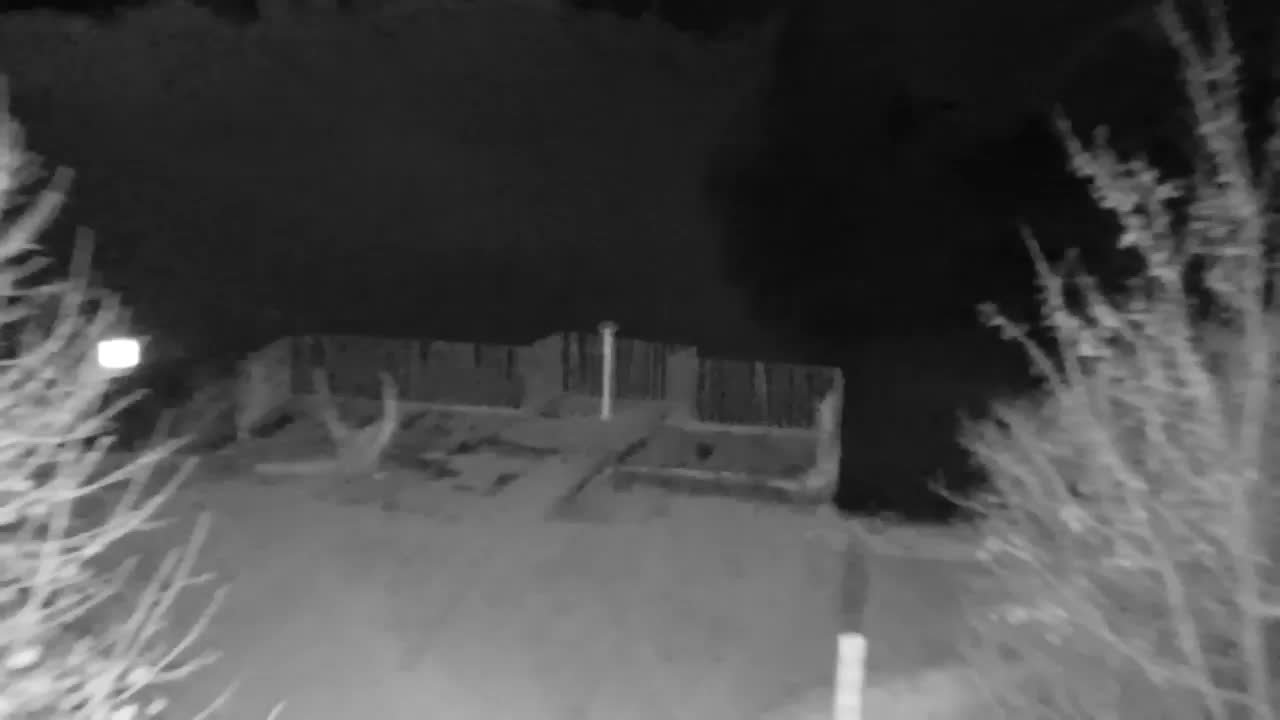 Webcam Ribnik Vrbje – Žalec