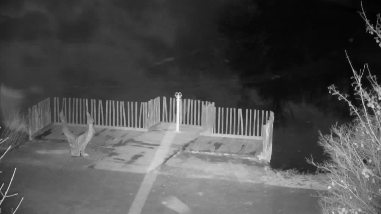 Spletna kamera Ribnik Vrbje – Žalec