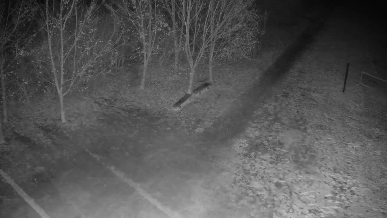 Webcam Ribnik Vrbje – Žalec