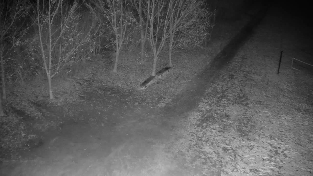 Webcam Ribnik Vrbje – Žalec