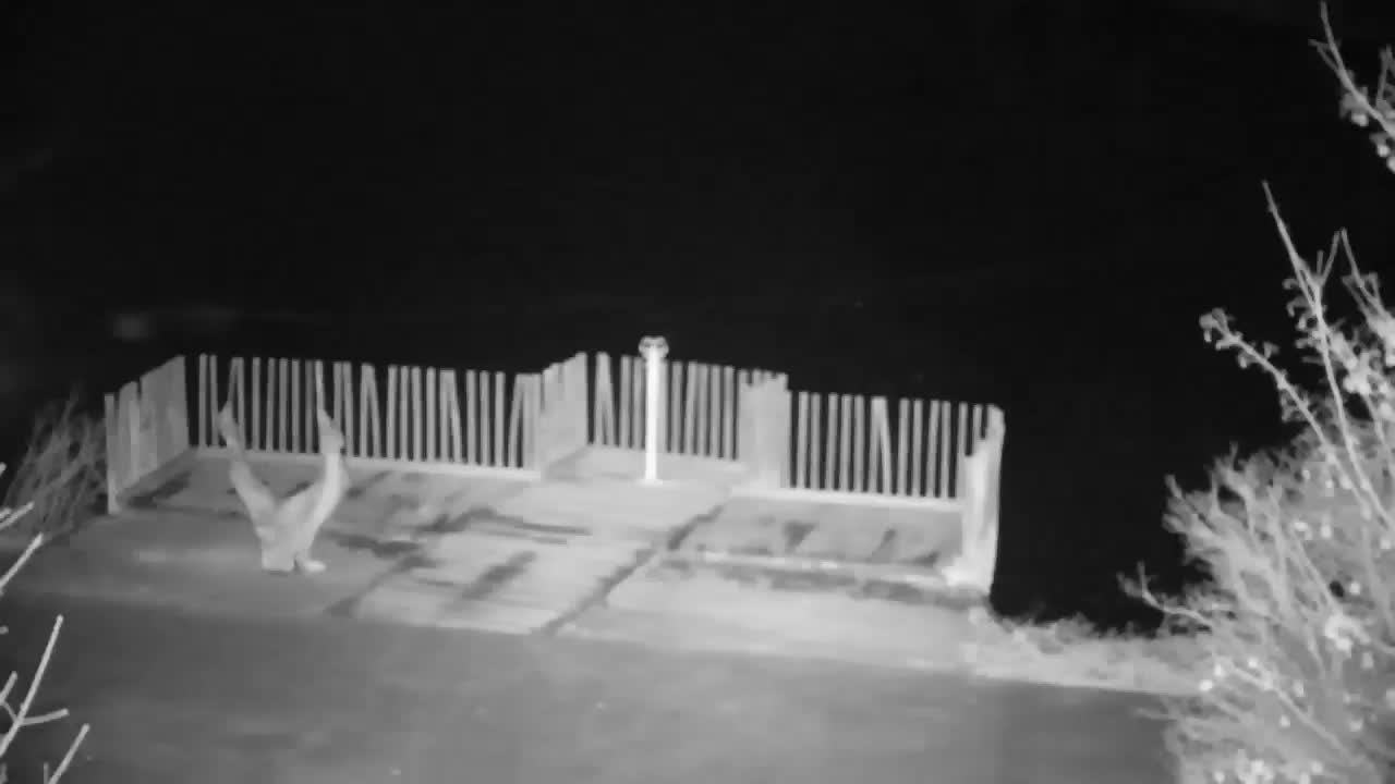 Webcam Ribnik Vrbje – Žalec