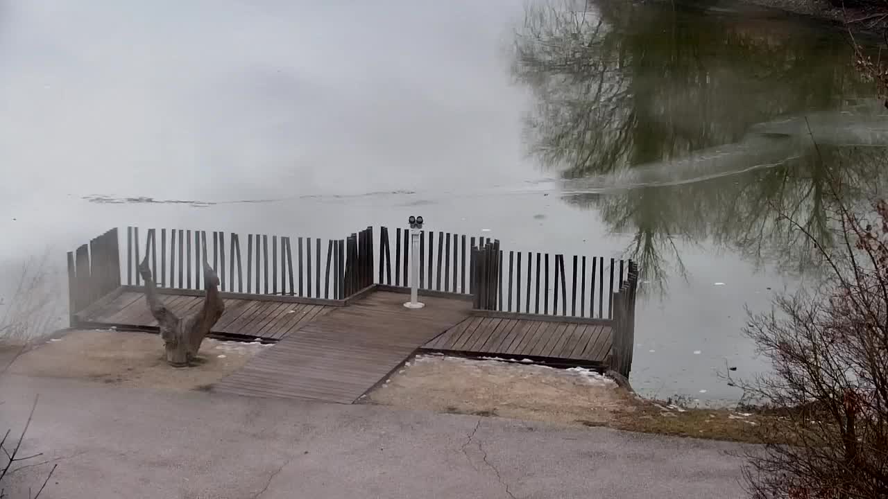 Web kamera Ribnik Vrbje – Žalec