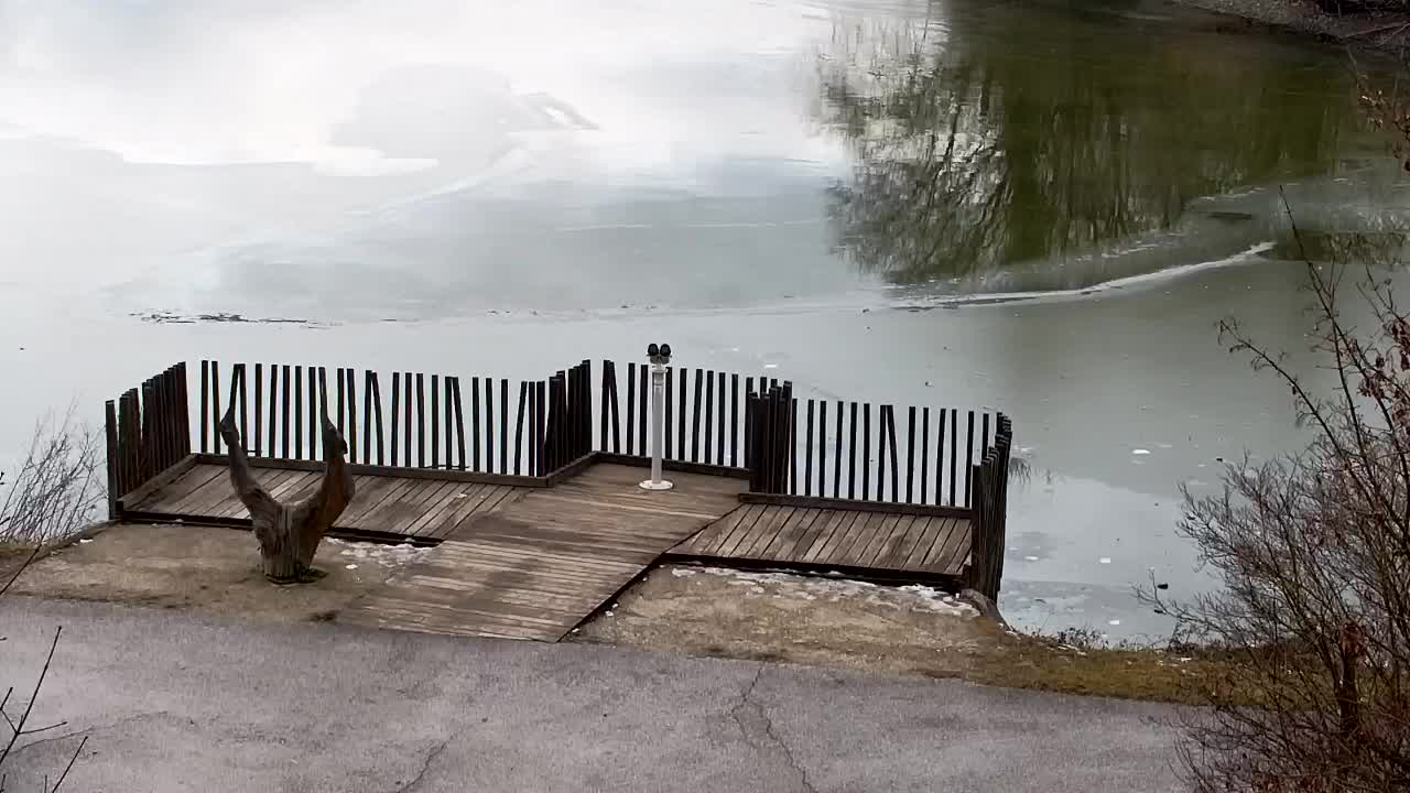 Webcam Ribnik Vrbje – Žalec