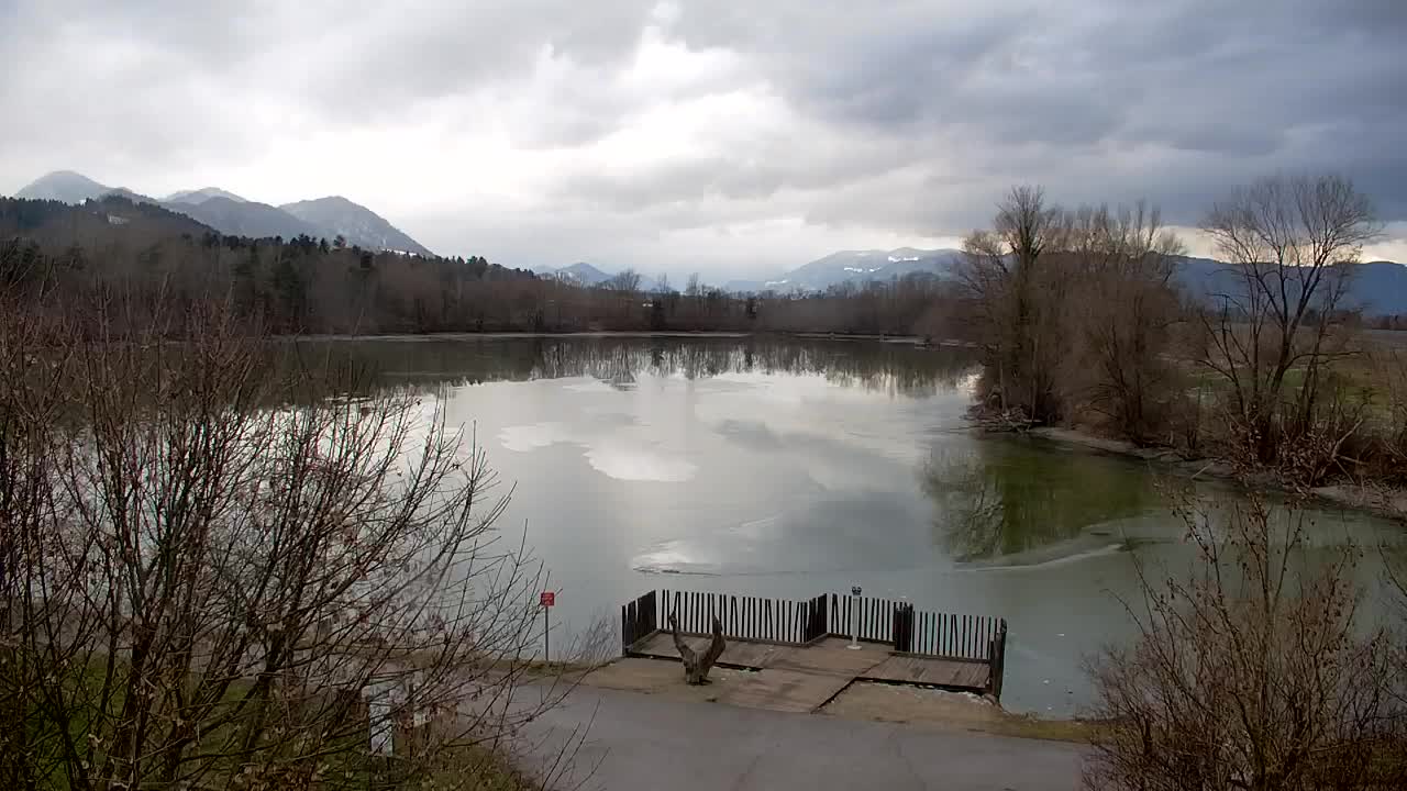 Web kamera Ribnik Vrbje – Žalec