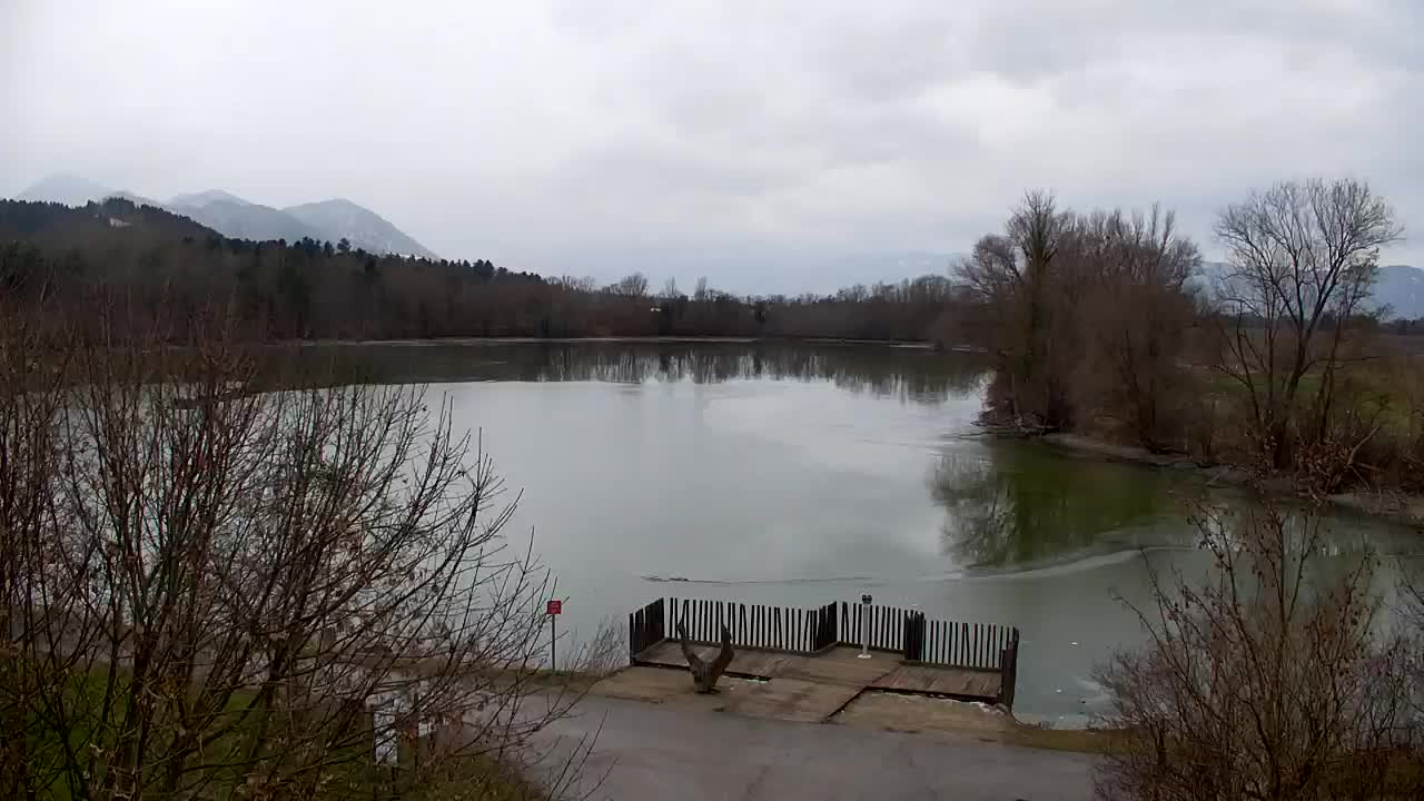 Webcam Ribnik Vrbje – Žalec