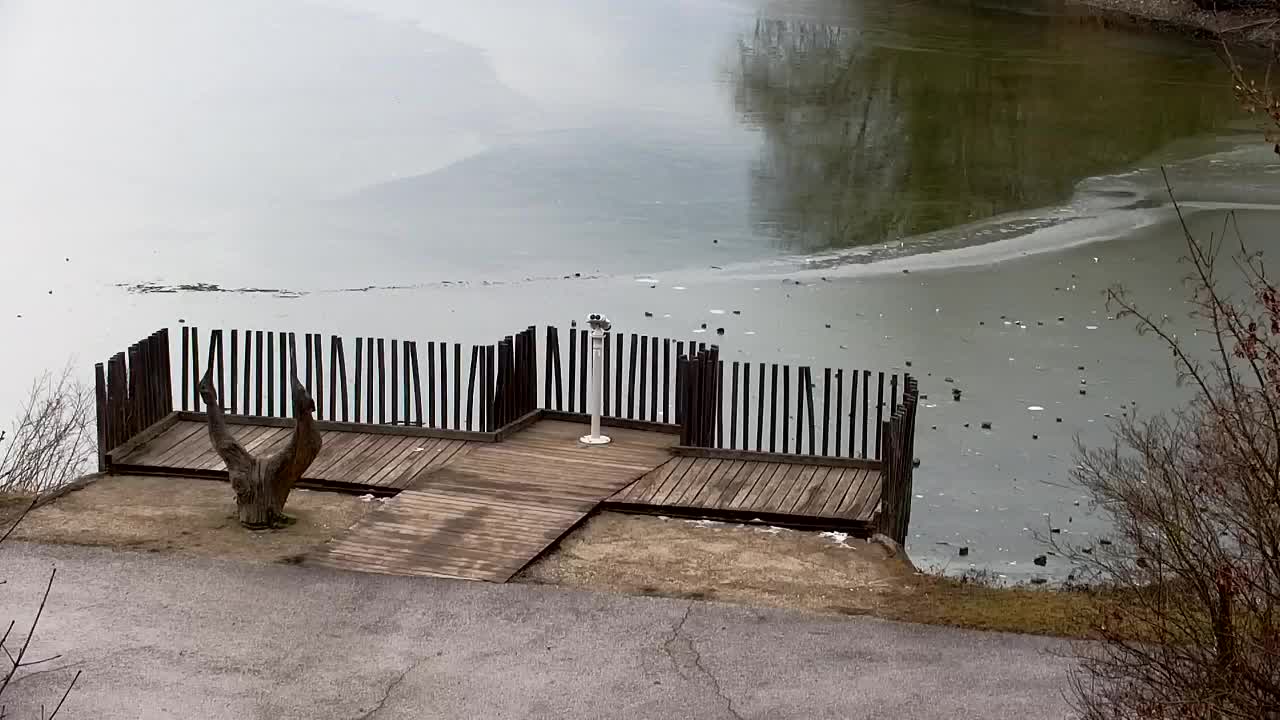 Webcam Ribnik Vrbje – Žalec