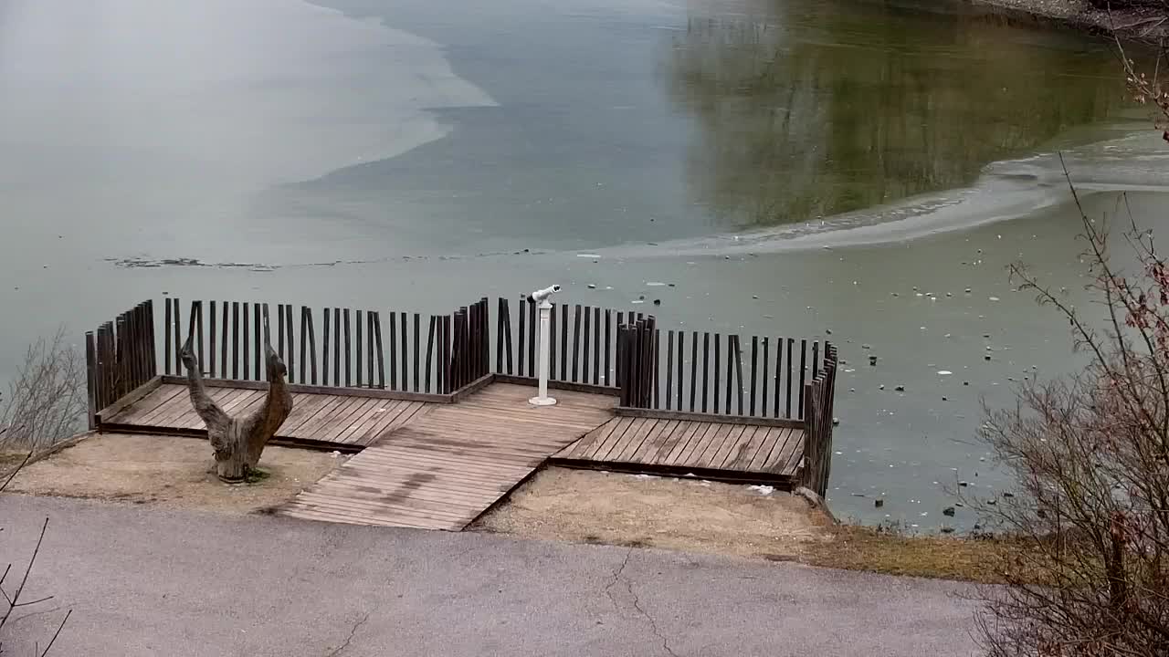 Webcam Ribnik Vrbje – Žalec