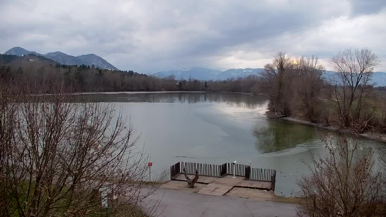 Webcam Ribnik Vrbje – Žalec