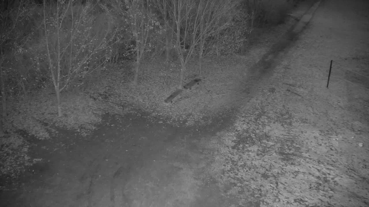 Webcam Ribnik Vrbje – Žalec