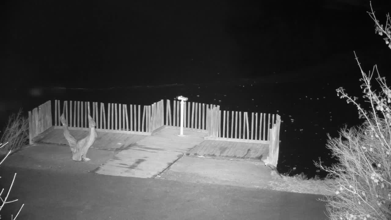 Webcam Ribnik Vrbje – Žalec